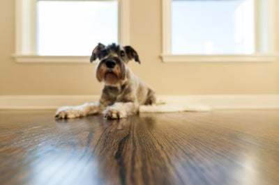 Floor